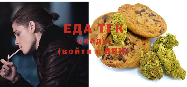 индика Балахна