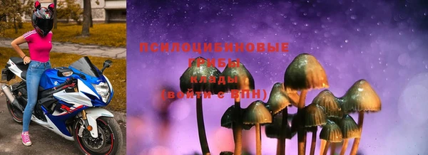тгк Беломорск
