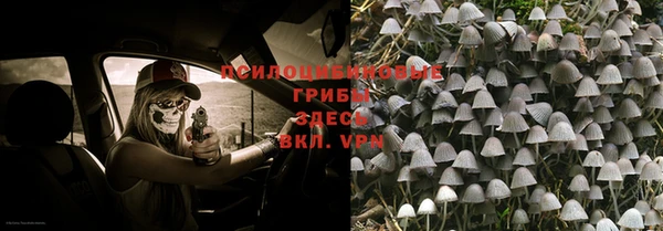 прущая мука Белокуриха