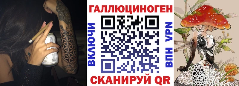 Купить закладки  Кемь  Галлюциногенные грибы Psilocybine cubensis 